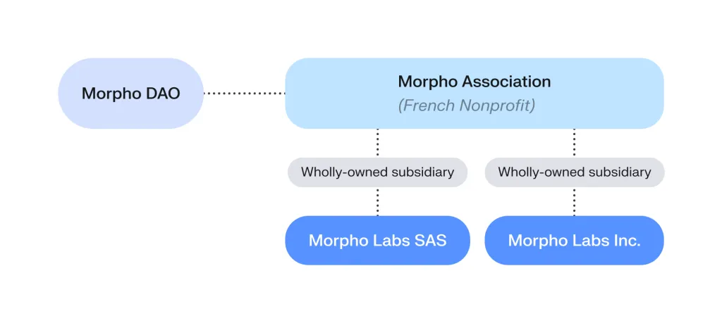 Morpho org structure
